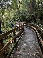 Wandelpad