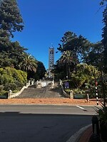 Nelson