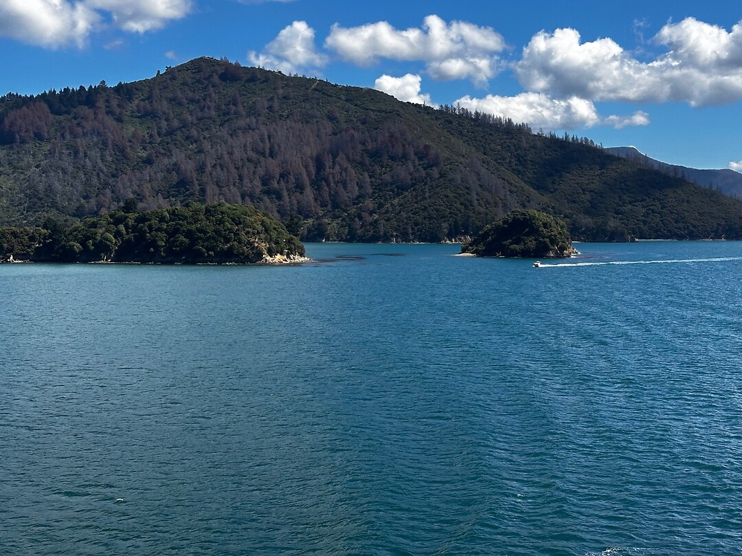 Te Weuweu Bay