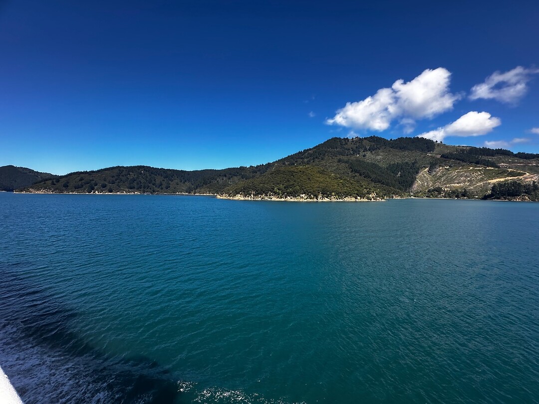 Te Weuweu Bay