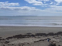 Pukehina Beach