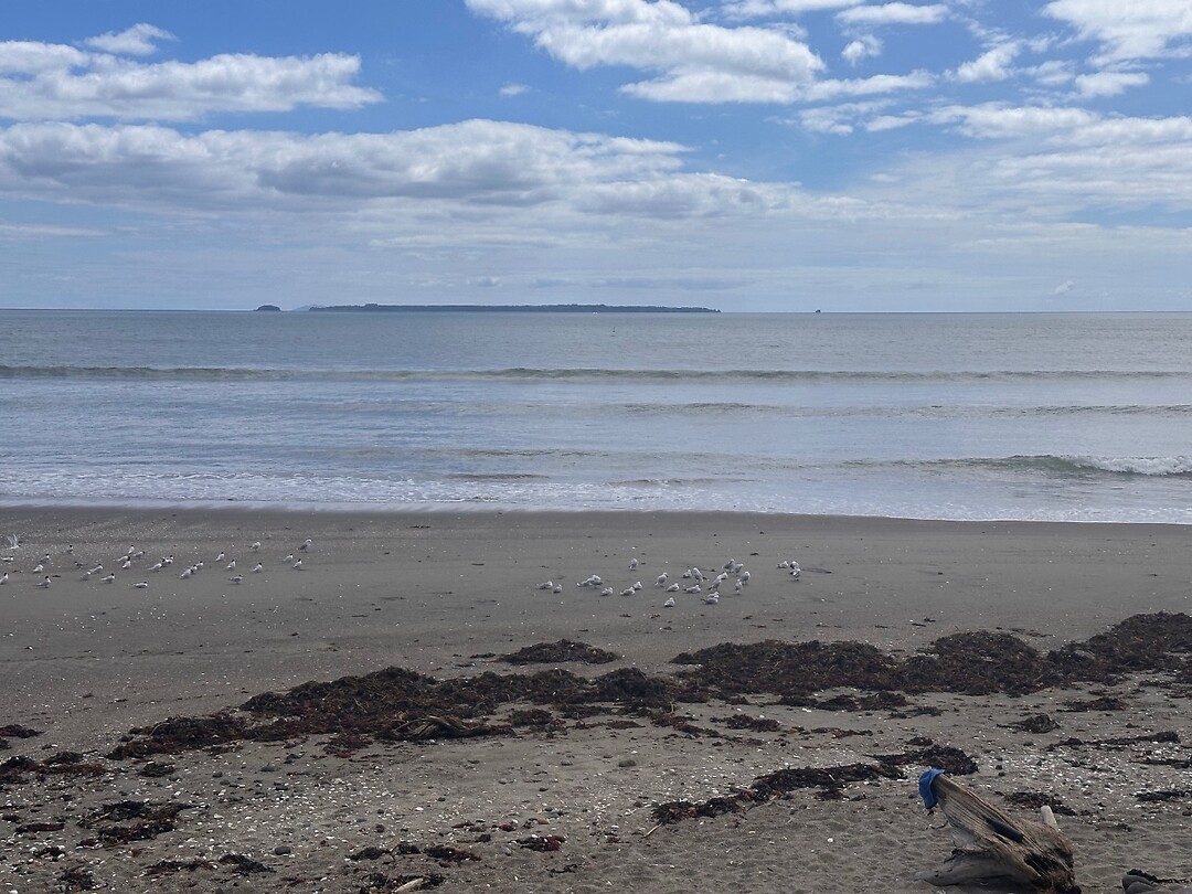 Pukehina Beach