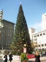 100_1560-550