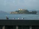 Alcatraz
