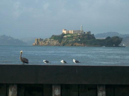 Alcatraz