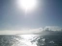 Mist