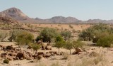 87-P1040311-Namibie_OTR