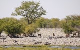 33-IMG_3482