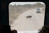 34-IMG_3493