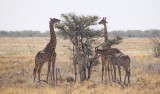 35-IMG_3503