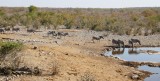 39-IMG_3545