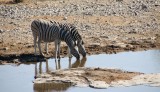 40-IMG_3547