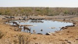 41-IMG_3558