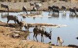 42-IMG_3559