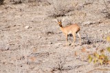 49-IMG_3644