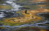 05-IMG_3799-Okavango Delta1