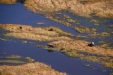 11-IMG_3885-Okavango Delta4