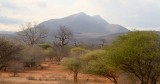 38-IMG_4718-Tanzania OTR baobab forrest 3