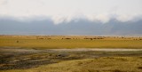 73-IMG_5661_Ngorogoro