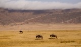 74-IMG_5669_Ngorogoro