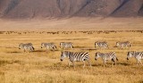 75-IMG_5681_Ngorogoro