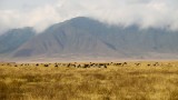 78-IMG_5707_Ngorogoro