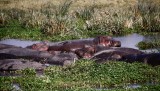 83-IMG_5753_Ngorogoro