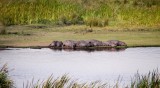 87-IMG_5777_Ngorogoro