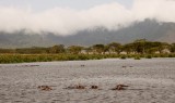 88-IMG_5803_Ngorogoro