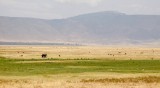 89-IMG_5808_Ngorogoro