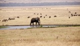 90-IMG_5814_Ngorogoro