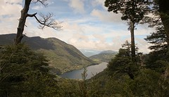 036-IMG_8598-Huerquehue NP