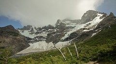 118-IMG_8883-TDP French glacier