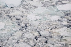 227-IMG_3233-At sea slush