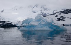233-IMG_3250-Pleneau Bay iceberg graveyard