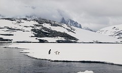 236-IMG_3272-Pleneau Bay