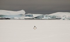 237-IMG_3279-Pleneau Bay