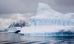 259-IMG_3388-Pleneau Bay iceberg graveyard