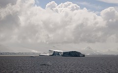 262-IMG_3421-At sea to Port Lockroy