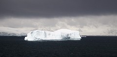 264-IMG_3444-At sea to Port Lockroy