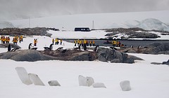 273-IMG_3501-Jougla Point view Port Lockroy