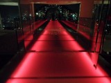 SAM_1498
