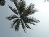 SAM_1536