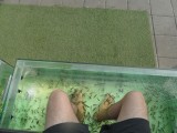 SAM_1546