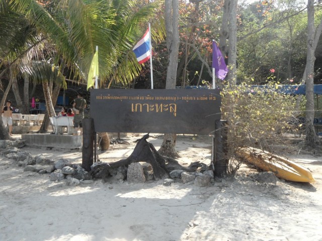 SAM_1900