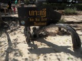 SAM_1857