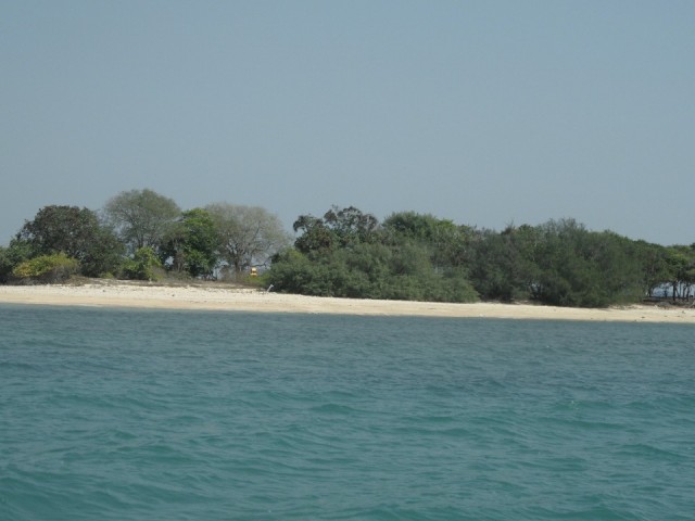 SAM_1884