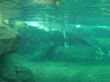 SAM_2143