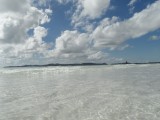 SAM_2645