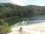 SAM_2905